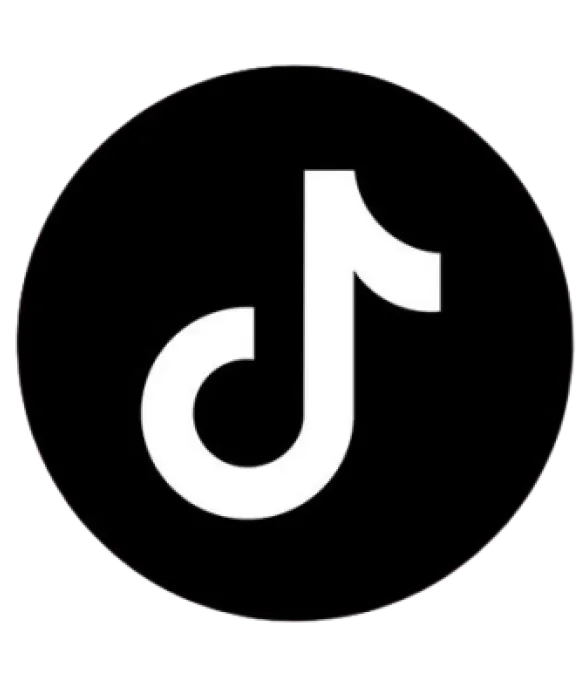 TikTok icon